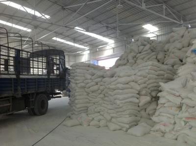 廠區(qū)實(shí)景